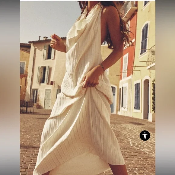 Zara Dresses Zara Backless Halter Cowl Neck Maxi Pleaded